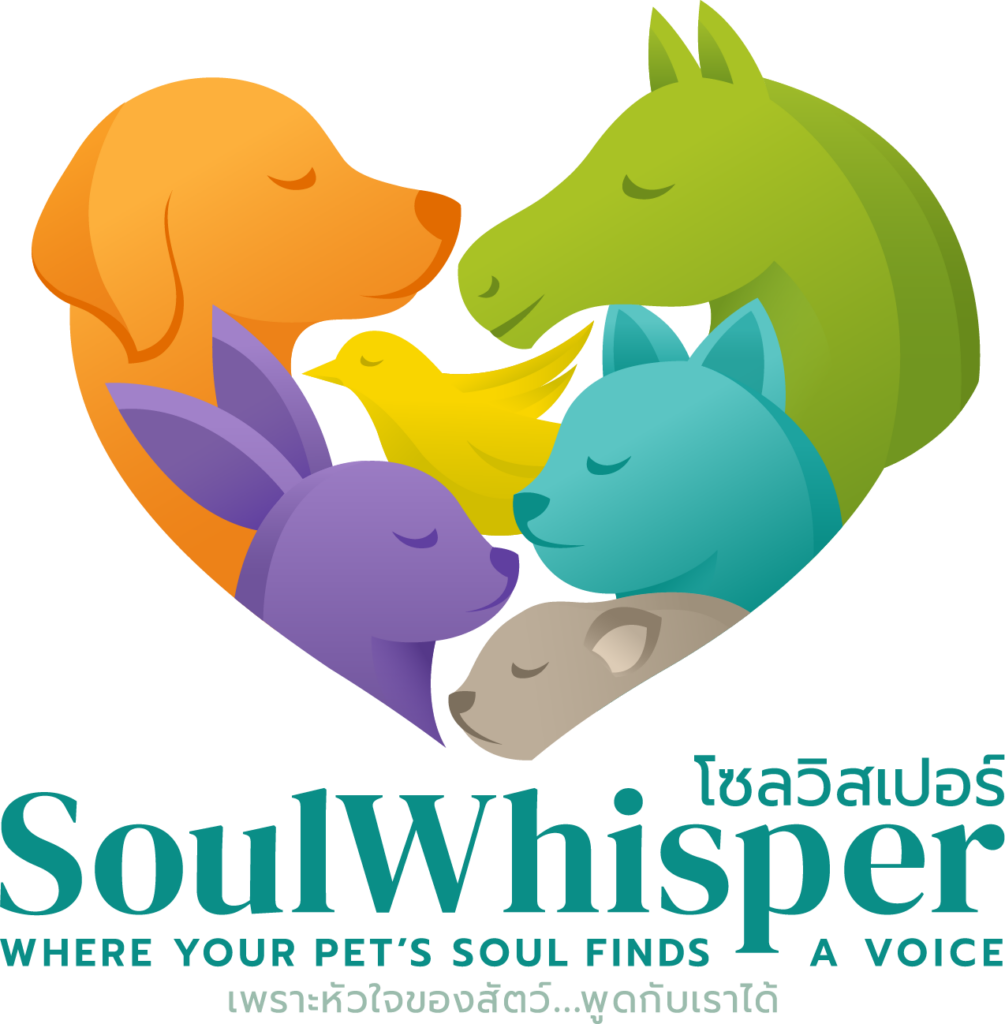สื่อสารสัตว์ ครูปุญ soulwhisperbypoon